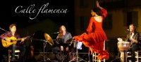 calle-flamenca-image-1-1424448073-45473