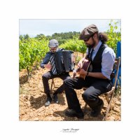 jazz-a-soufflet-image-7-1537816727-59434