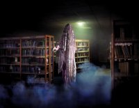 virginia-a-la-bibliotheque-image-1-1573716159-63899