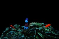 le-tout-petit-prince-image-6-1570180745-62241