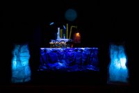 IMG_8897 - Copie