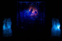 IMG_8933 - Copie