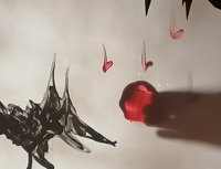 le loup et le geai