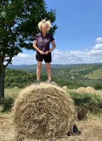Photo botte de paille