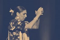 Photo 2 Teresa Deleria Calor Flamenco